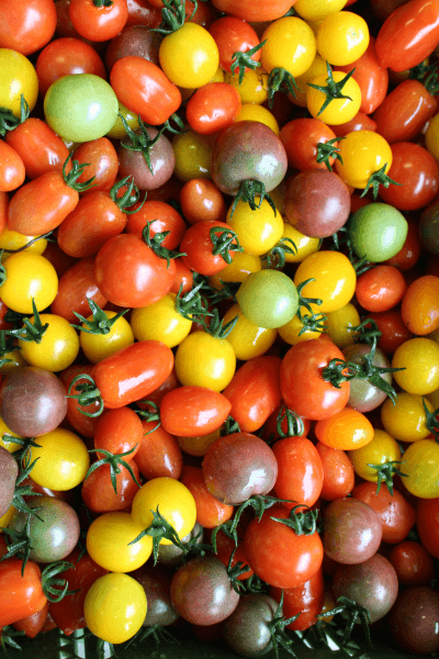 IMG_4662_Tomaten