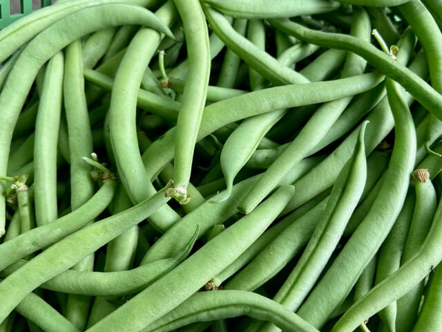 gruene_bohnen